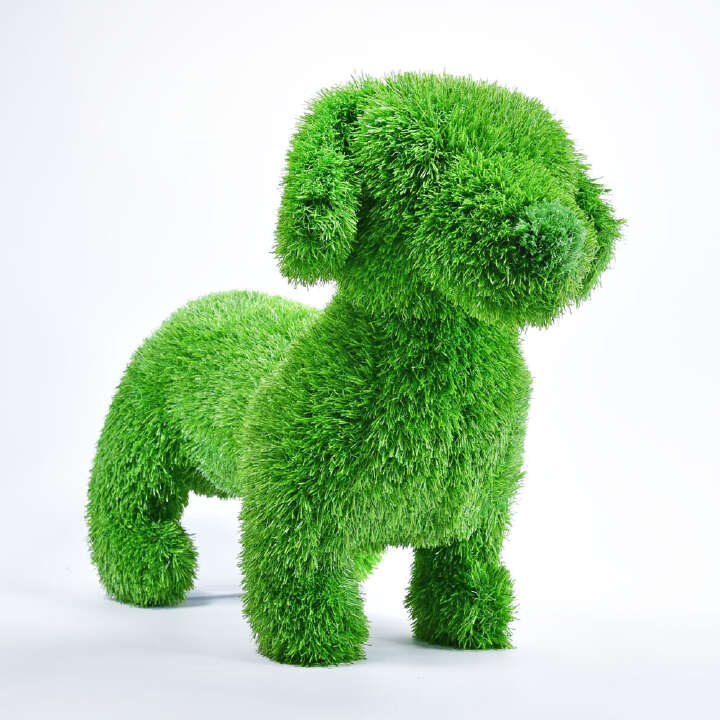 ANIPLANTS Grasfigur Dackel